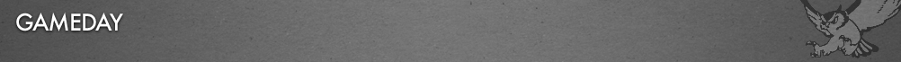  Gameday Icon 