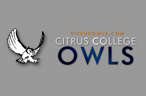 Owls Roll South of Border With Pair of Wins