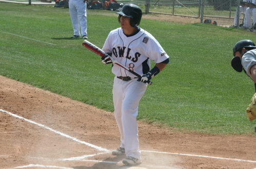Baseball Drop Final Game of &lsquo;13