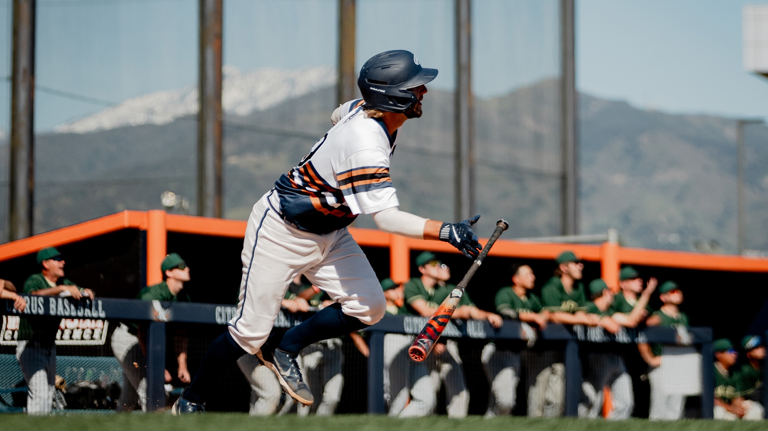 Owls Fall to Valley