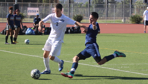 Owls Drop to Last Place In Conference