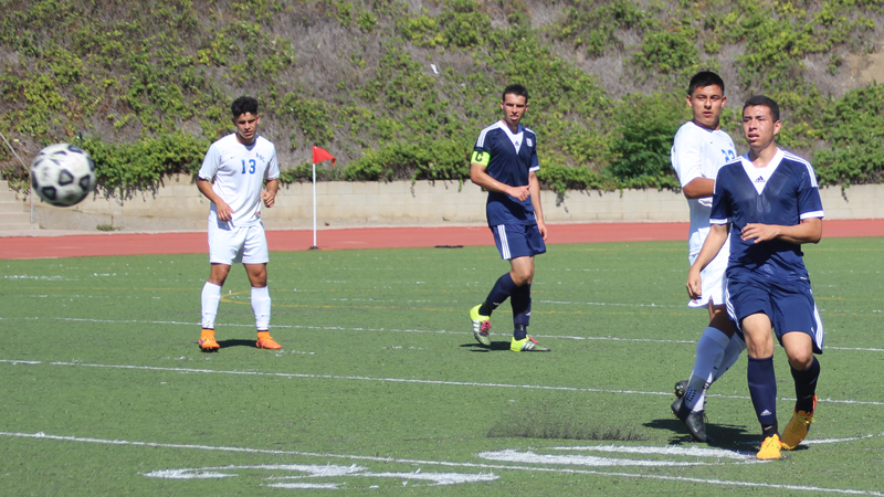 Oxnard Too Much for Owls
