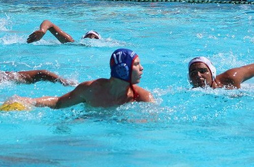 Brian Alfery scans the pool for an opening.