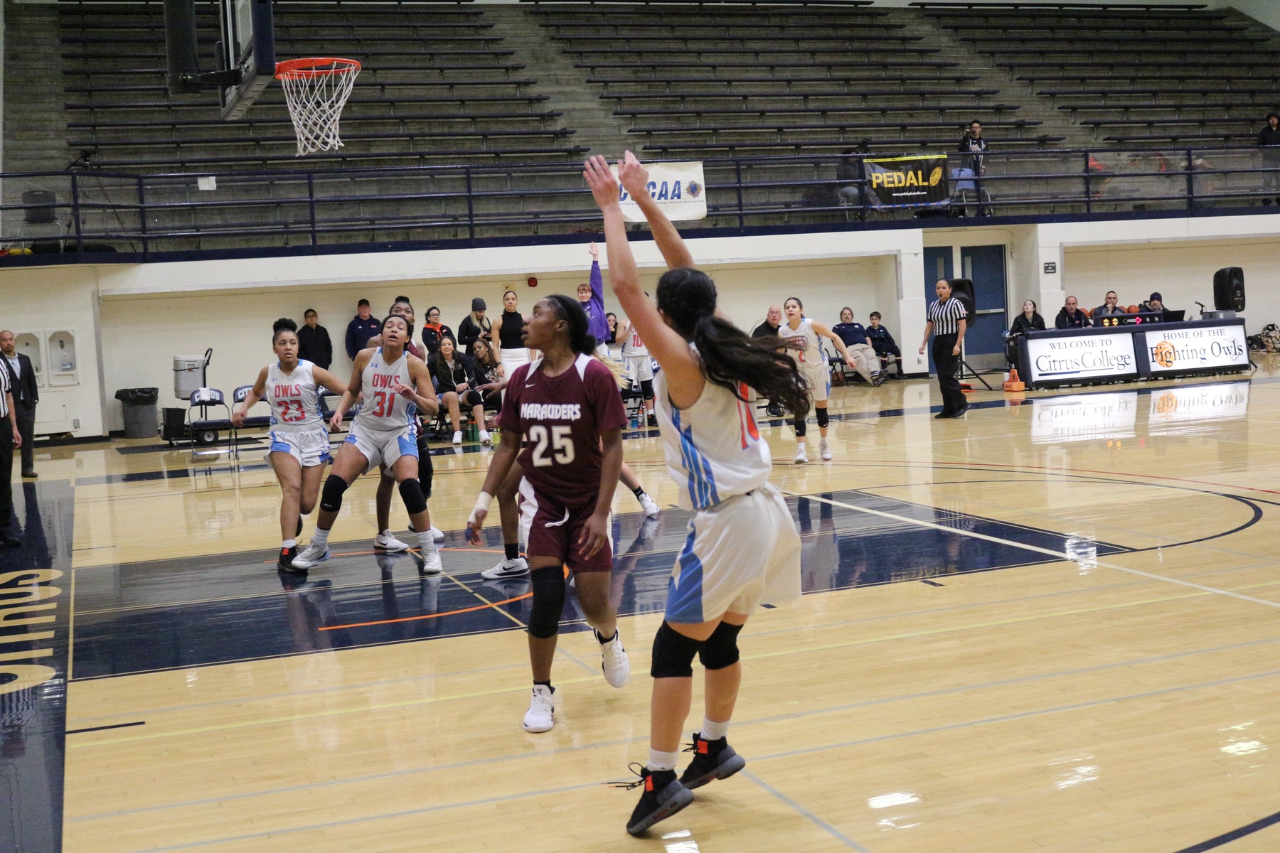 Brianna Ibarra shoots and scores a jumper. Image: Treyvon Watts-Hale