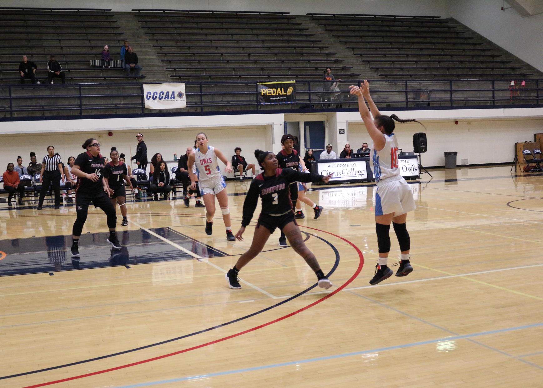 Guard Kameron Seto pulls up from long range. Image: Treyvon Watts-Hale