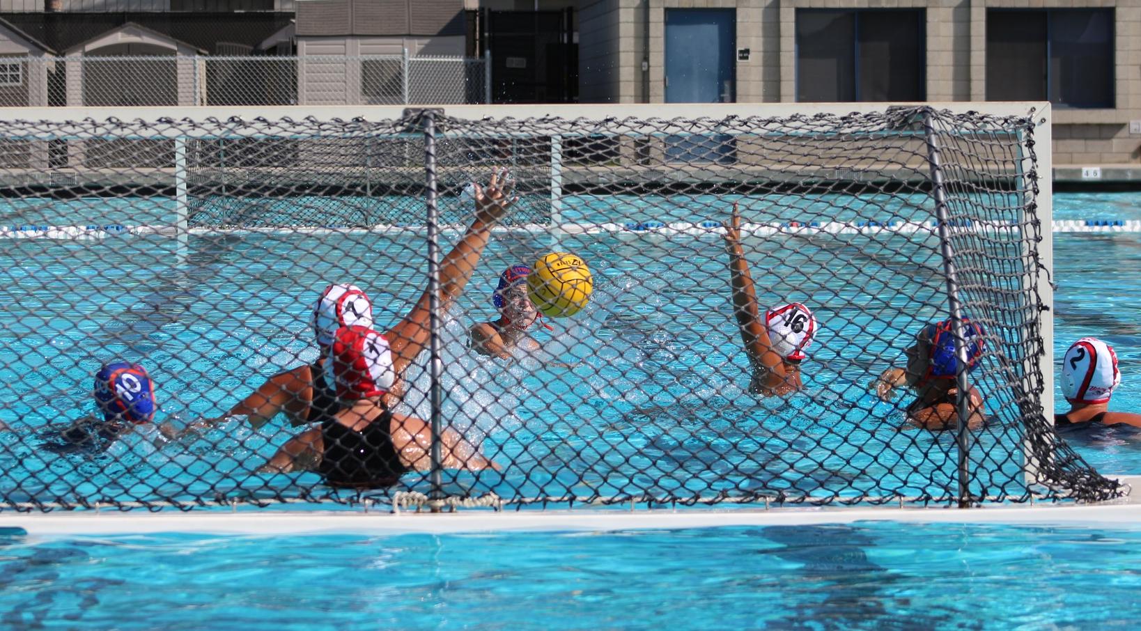Fighting Owls Roll Through First Round of Regional Championships